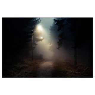 Baac3nes, Dirt Road in a Dark and Foggy Forest, Photographic Paper For Sale