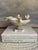 Early 20th Century Vintage Alabaster Bird Bath For Sale - Image 5 of 7