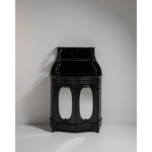 Wood 19th Century France Napoleon III Black Wood Storage Cabinets & Cupboards For Sale - Image 7 of 11