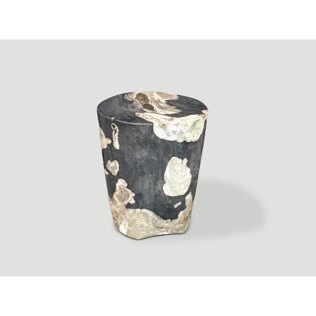 Contemporary Andrianna Shamaris Modern Organic Petrified Wood Side Table For Sale - Image 3 of 5