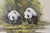 1940s Original Framed Oil on Canvas Painting of Pandas Eating Bamboo Signed For Sale - Image 5 of 11
