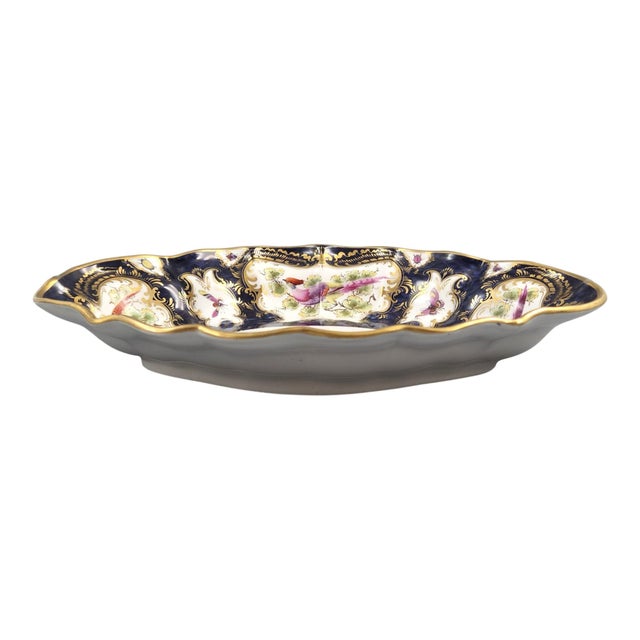Blue Scale Cabinet Dish with Exotic Birds from Royal Worcester, 1901 For Sale - Image 5 of 11