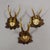 Rustic European Antique Set of Black Forest Roe Deer Trophies, Germany Ca. 1890s/1900s For Sale - Image 3 of 10