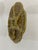 Ceramic 1950s French Gien Majolica Olive Green Oyster Plate For Sale - Image 7 of 14