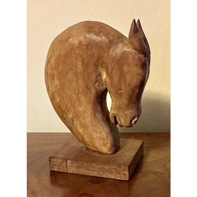 American Art Deco Carved & Limed Wood Sculpture of a Horse Head Circa 1930 For Sale - Image 10 of 12