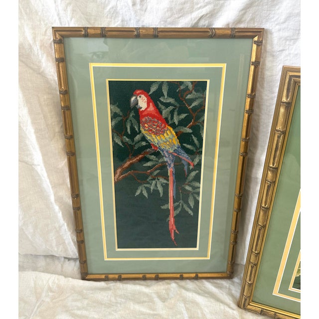 Vintage Pair of Macaw Needlepoint Framed Pictures in a faux bamboo frame with double matting. Med-14.75in w x 23in h x 1in...