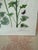 Paper Storybook Pair of Whimsical Botanical & Garden Prints For Sale - Image 7 of 9