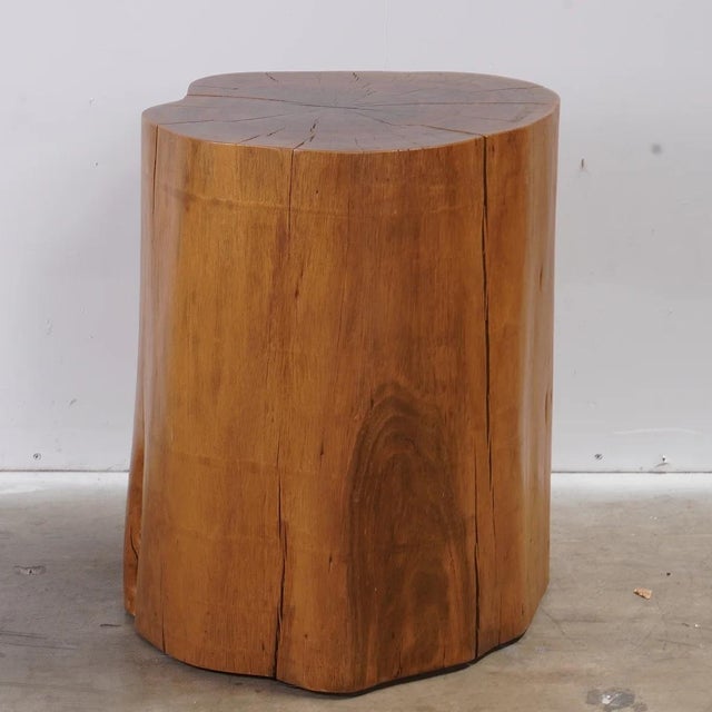 Modern Smooth Teak Tree Trunk Side Table For Sale In San Diego - Image 6 of 6
