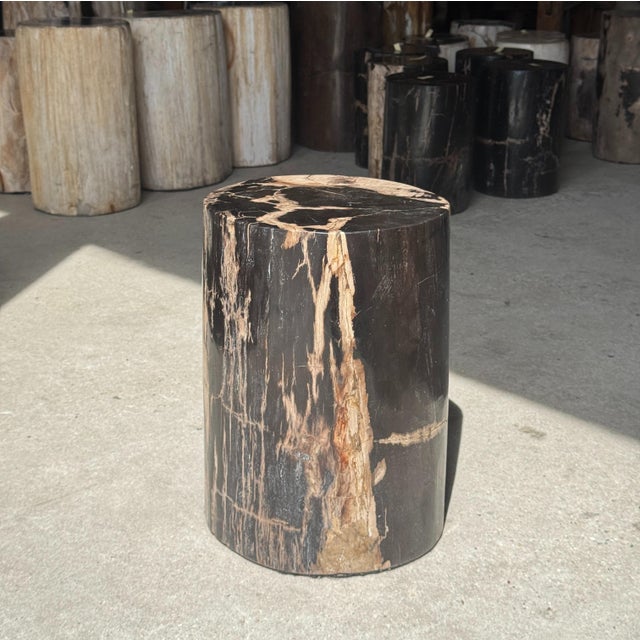 Side Table in Black Petrified Wood with Beige Striations and a Circular Arc For Sale - Image 16 of 18