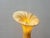 Floor Lamp by Ayala Serfaty for Aqua Creations Studio, 1990s For Sale - Image 5 of 15