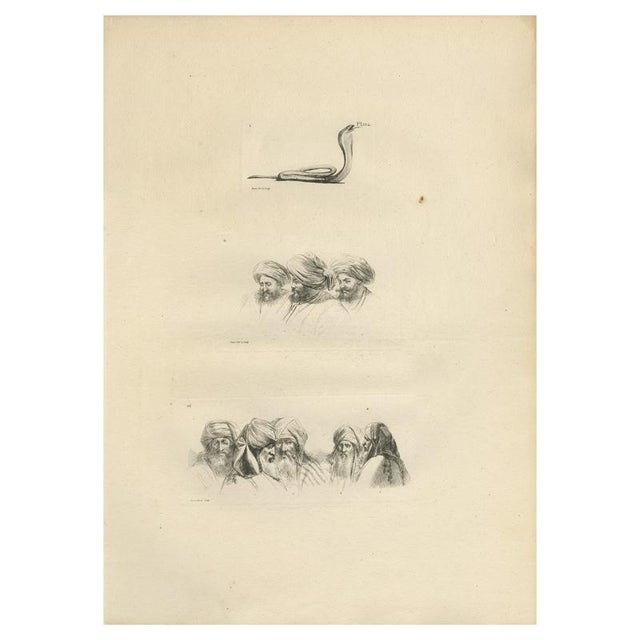 After Dominique Vivant Denon, Comparative Head Studies and Cobra, Egypt, 1802, Engraving on Paper For Sale - Image 9 of 9