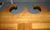 American 20th Century Early American Solid Cherry Corner Storage Cabinet For Sale - Image 3 of 8