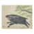 Japanese Sumi Ink Painting of a Running Boar Beneath Pine Branches, Signed With Red Artist Seal For Sale