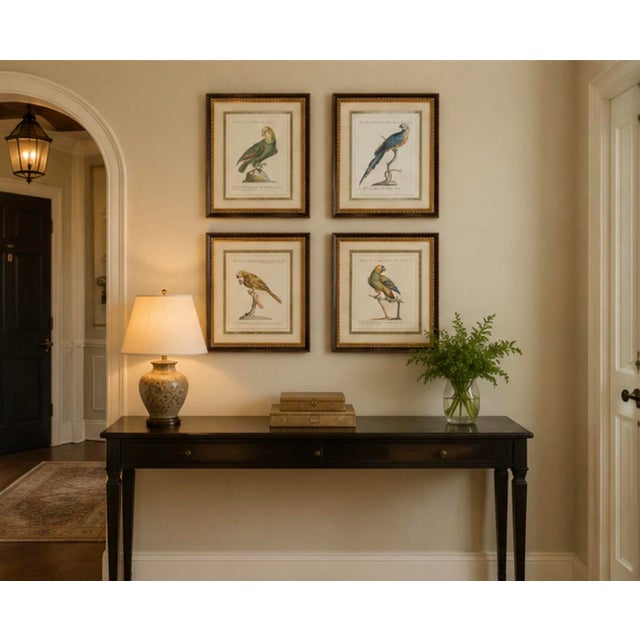 Set of 4 Vintage Continental Style Framed Natural History Prints For Sale - Image 12 of 12