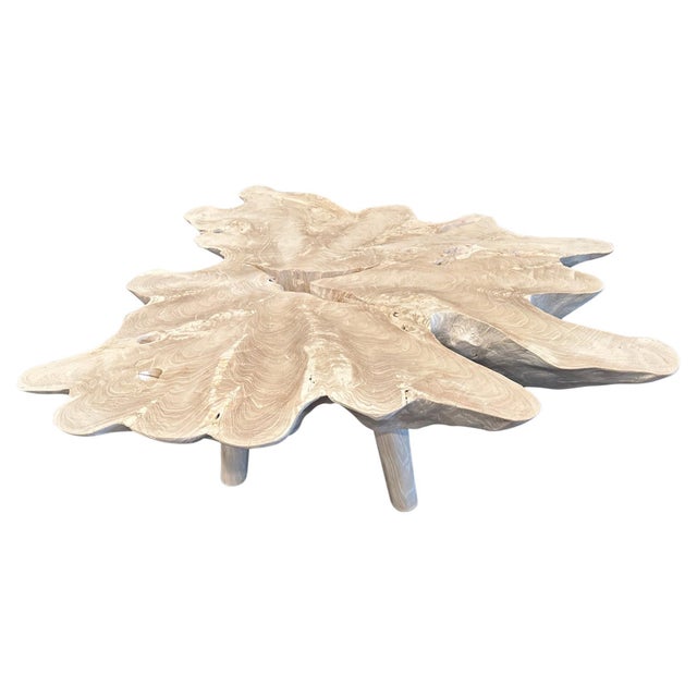 Andrianna Shamaris Amorphous Mid Century Style Bleached Teak Wood Coffee Table For Sale - Image 15 of 18