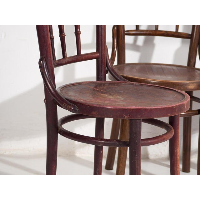 Colored Chairs from Thonet, 1920s, Set of 4 For Sale - Image 3 of 17