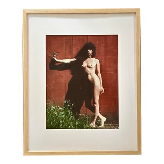 The Red Barn Door and Barbara by Lance Jekel For Sale