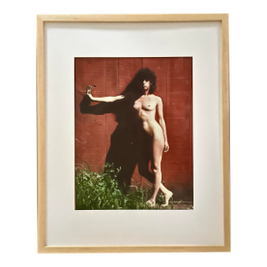 The Red Barn Door and Barbara by Lance Jekel
