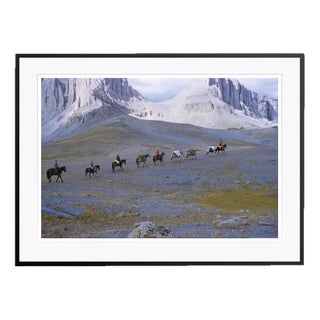 Toni Frisell, A Pack Trip in Wyoming, 1960, C Print, Framed For Sale