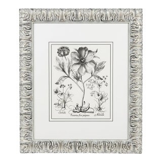 Black White Peonie Il" Botanical Print For Sale