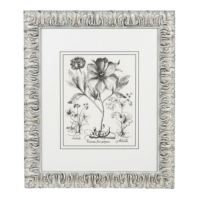 Black White Peonie Il" Botanical Print For Sale