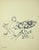 Leo Guida, Figure, 20th Century, Marker Drawing on Paper For Sale