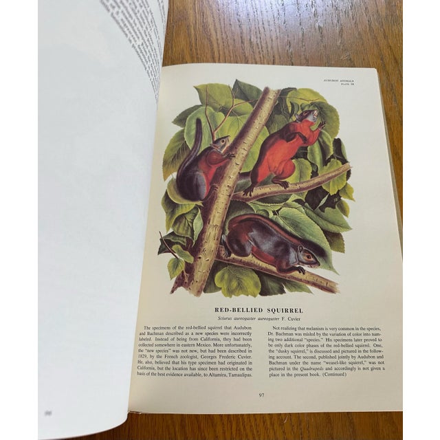 Traditional Vintage Audubon Animal Book For Sale - Image 3 of 7