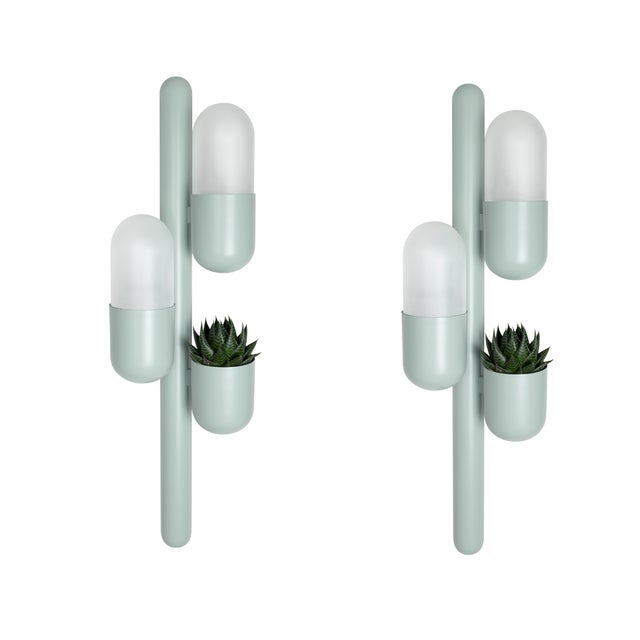 Cactus Wall Lamps by Creativemary, Set of 2 For Sale - Image 10 of 10