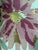 A beautiful custom decorative goose down accent pillow featuring oversized watercolor-style floral blooms in shades of...