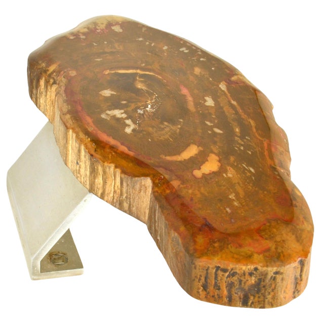 Architectural Push Pull Door Handle in Petrified Wood, 1970s For Sale
