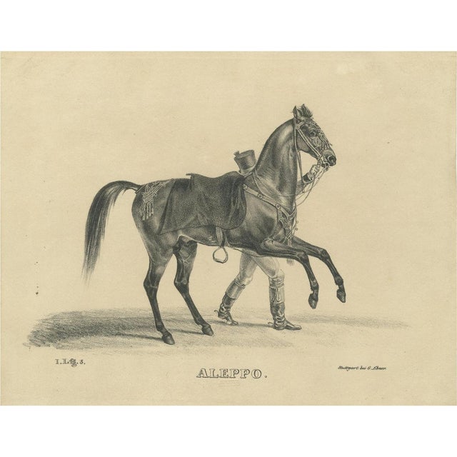 August Jäger, Aleppo, 1846, Lithograph For Sale - Image 10 of 10