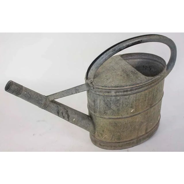Antique Schneiderkanne Watering Can Planter - Galvanized Metal For Sale - Image 10 of 10