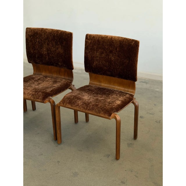 1970s Bentwood Dining Chairs - Set of Four For Sale - Image 14 of 18