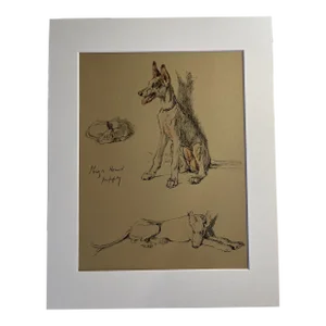 1935 Ibiza Hound Puppy Aldin Portrait Print