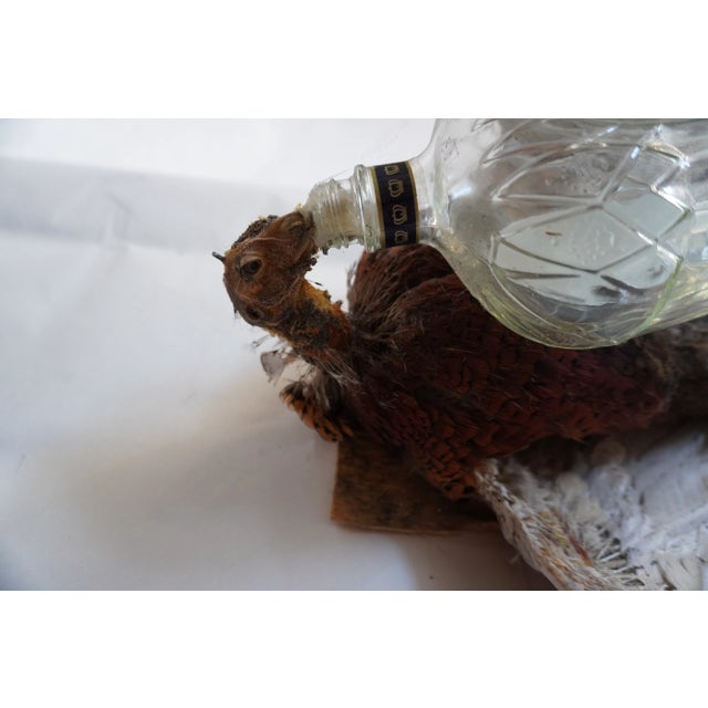 Brown Taxidermy Pheasant Drinking From Crown Royal Bottle For Sale - Image 8 of 9