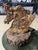 Celestial Meets the Sea “Xanthos the Crowned” Sculpture For Sale In Chicago - Image 6 of 7