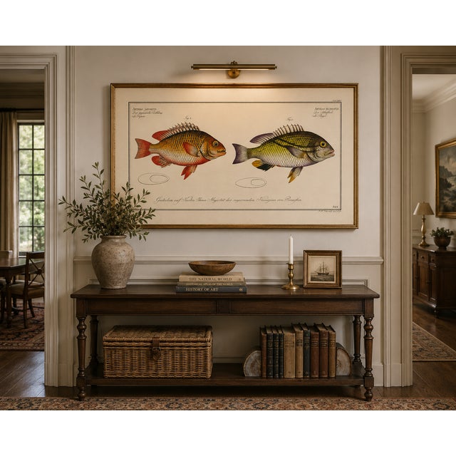 Antique Fish Study 1, Vintage Art Print Reproduction, 24" X 16" For Sale In Buffalo - Image 6 of 8