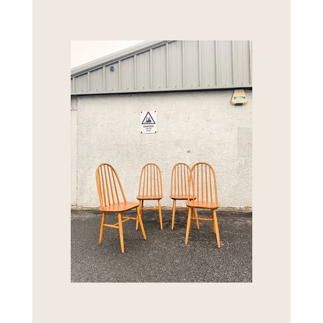 A set of 4 hoop back dining chairs in the manner of Ercol. We have every indication from looking at catalogue entry...