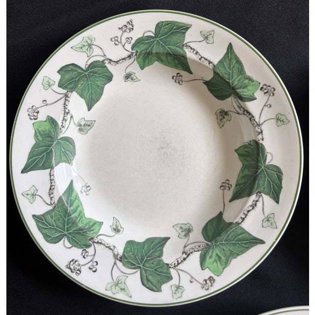 Ceramic 1940s Napoleon Ivy Wedgwood Soup Bowls - Set of 7 For Sale - Image 7 of 10