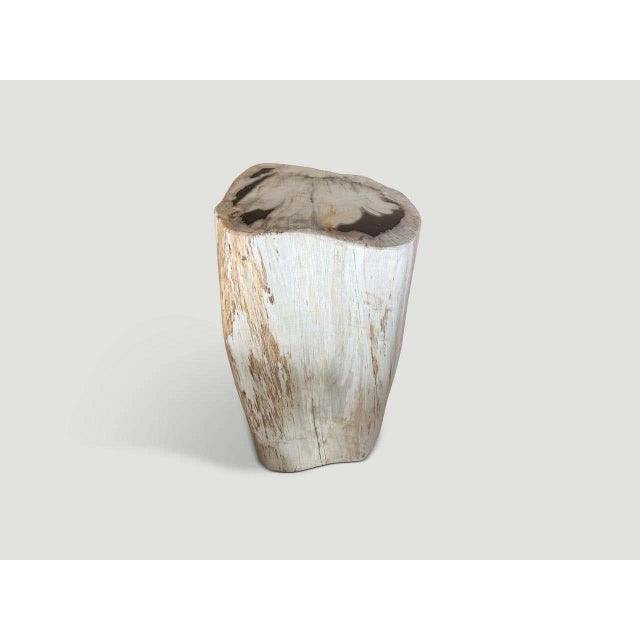 Andrianna Shamaris Modern Organic Minimalist Petrified Wood Side Table For Sale - Image 4 of 5