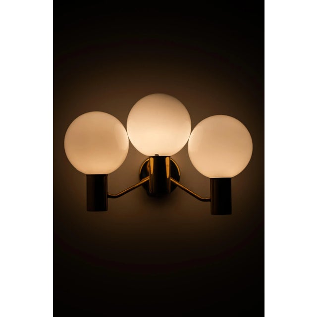 Wall Light Model V-149/3 by Hans-Agne Jakobsson, Sweden, 1950s For Sale - Image 3 of 7