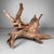 Japanese Koboku Root Wood Sculpture, 1960s For Sale - Image 11 of 13
