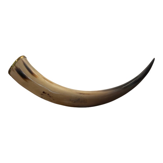 Natural Horn Accessory Mounted on Stone Base For Sale
