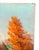 1960s 1960s Painting – Autumn Landscape Oil on Canvas Signed Niki A. Karagyllakis For Sale - Image 5 of 12