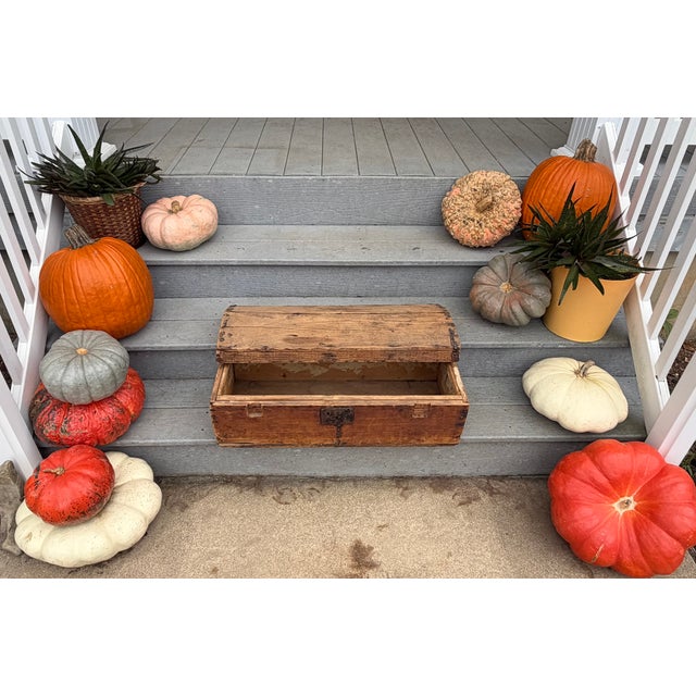 Early American Humpback Stagecoach Travel Trunk c.1850-1880 For Sale - Image 18 of 18