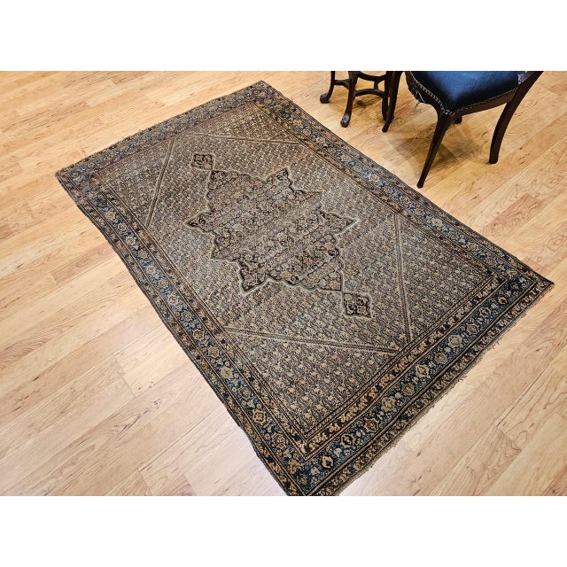 Antique Senneh Area Rug, Hand-Knotted Wool, Paisley Medallion Pattern, Chocolate Brown & Light Blue, 4x7 For Sale - Image 10 of 13