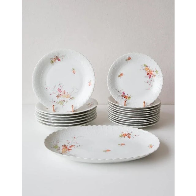 Dishes and Source from Limoges, 1950s, Set of 19 For Sale - Image 12 of 12