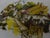 White Earthenware Serving Dishes from Lunéville, 1890s, Set of 3 For Sale - Image 8 of 15