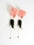 Mid-Century Modern Wall Lamps with Pink Acrylic Glass Shades, 1950s, Set of 2 For Sale - Image 6 of 18