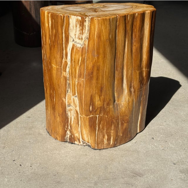 Oval Side Table in Petrified Wood, 1980s For Sale - Image 13 of 18